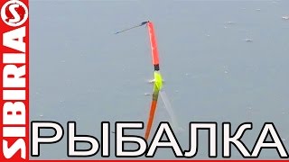 РЫБАЛКА ИЗ ПРОШЛОГО на бамбуковую удочку с гусиным пером Ловля плотвы на лесном пруду