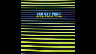 Cao Sao Vang - Cacao Beans