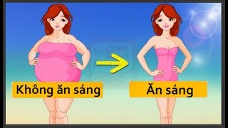 BẠN SẼ CHẲNG BAO GIỜ BỎ BỮA SÁNG KHI BIẾT ĐIỀU NÀY - [ PHIM HAY]