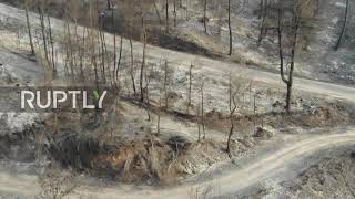 Greece: Drone footage shows extent of damage caused by wildfires in Evia