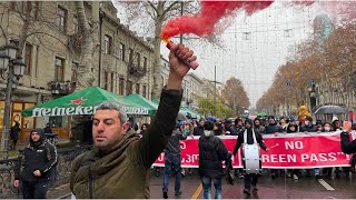 არა „მწვანე პასპორტებს“: თბილისში ახალი საპროტესტო აქცია გაიმართა - ვიდეო