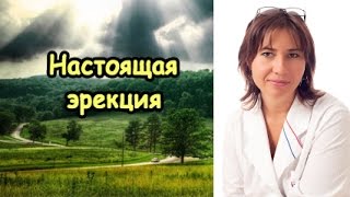 Эрекция настоящего мужика