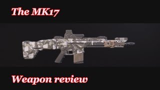The MK17 (Division 2 weapon review)