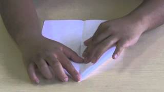 Forces of Flight Lesson 2: Delta, Dart, Canard! (Paper Airplanes)
