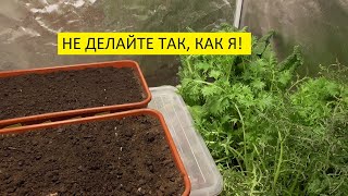 Разные томаты - в разную тару! 