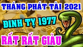 Tuổi ĐINH TỴ 1977 Gặp 3 THÁNG PHÁT TÀI Năm 2021 GIÀU CÓ Bất Thình Lình, 100 TỶ Cầm Tay