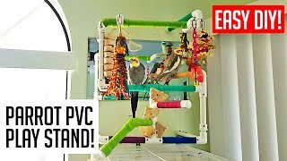 Amazing parrot PVC play stand!! Easy DIY ?