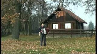 Nenad Ibrahimovic - Moravac