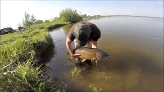 Отпускаю карпа 12 кг ;)