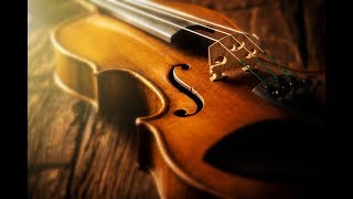 Fl studio - violin (using 8dio Studio Solo Violins in Kontakt 5)