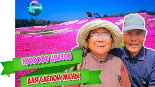 Он вырастил для своей слепой жены миллионы цветов! НЕВЕРОЯТНЫЕ ИСТОРИИ