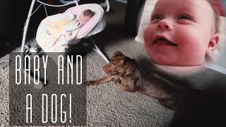 WE GOT A PUPPY!! | Maddie Welborn