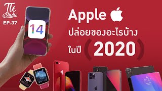 รวมสินค้า Apple ที่จะเปิดตัวในปีนี้ (2020) และจะถูกใจใครบ้าง | Tle Studio Ep.37