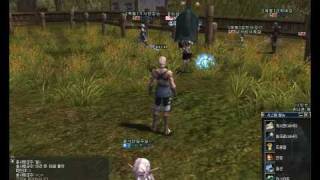 Lineage 2 big heads