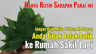HANYA MODAL SARAPAN UBI JALAR, ANDA AKAN MENGHEMAT BIASA KE ROMAH SAKIT