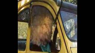 BLOOPERS CORTO "EL TRAVA"