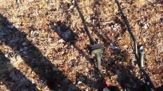 MAKRO Racer and Nokta Fors CoRe shootout test