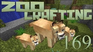 Mayla's Cougar Kittens!! ? Zoo Crafting: Episode #169 [Zoocast]
