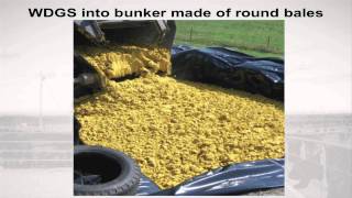 Storage Methods for Ethanol Co-Products - Mixing With Forages