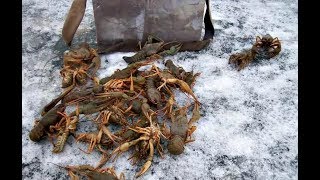Как ловить раков зимой?