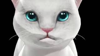 MMD/MEME  _ MEOW +DL