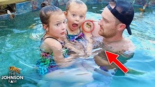 ? POOL PARTY BEE ENCOUNTER! (First Bee Stories! ?)