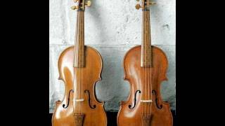 (3) J.S. Bach - Double Violin Concerto in d minor, BWV 1043 (Andrew Manze & Rachel Podger)