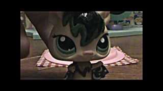 Littlest Pet Shop: Razor Vlogs Episode 1 (The Introduction)