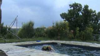 'Tom by the pool'