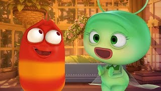 LARVA | День святого Валентина Специальное | Мультфильмы для детей | WildBrain