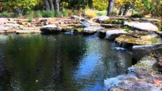 Natural Swimming Pools & Ponds: About
