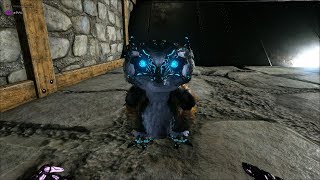 【PC】【ARK:バルゲロ】ブリ生活21日目...今日は防衛行ってみようかと思う....　☆初心者質問歓迎☆