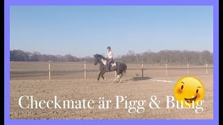Visar mina schabrak ?/STALLVLOGG