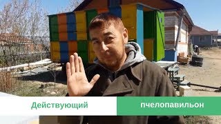 Действующий пчелопавильон. Каркасные улья. Пчелы. Улья из пенополистирола. Мёд Исмаил.