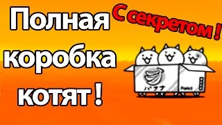 Полная коробка котят ! С секретом ! ( Battle Cats )