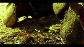 Nerves Junior - "Swimmer's Ear" (Music Video)