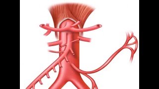 GASTRO-ENTEROLOGIE pathologie mesenterique