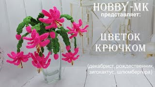 Букет крючком Рождественник (зигокактус, декабрист - авторский МК Светланы Кононенко)