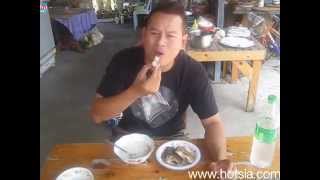 การกินปลาสลิดบางบ่ออย่างอร่อยสุดๆ