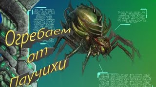 ARK: Survival Evolved #1 ▶ Поход на Проматерь / Broodmother