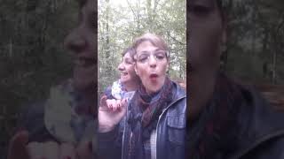Apprendre à reconnaître les champignons
