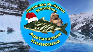 Как поймать Арктическую колюшку на Ледяном озере | Реальная Рыбалка