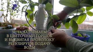 Регулируемая капельница для капельного полива.