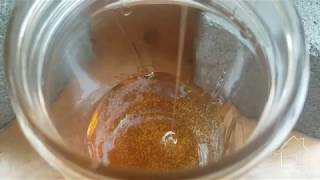 Flow Hive 1st frame of honey
