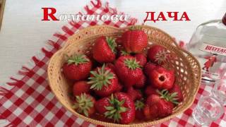 ✿ Клубника на высокой грядке. Танцевальная дегустация➽ ✿ℛоманова ДАЧА