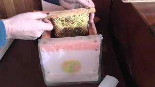 Микро нуклеус своими руками/The micronucleus