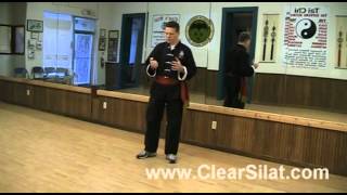 Hand Destructions - Free Silat Lesson #16