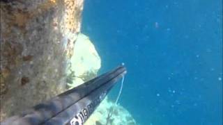 Ρηχο Ψαροντουφεκο Σαργος Σαλπα