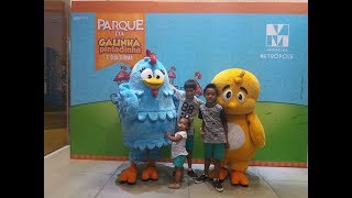 Vídeo #35 Vlog: Parque da Galinha pintadinha e sua turma