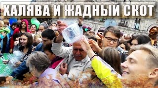 ХАЛЯВА И ЖАДНЫЙ СКОТ